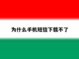 为什么手机短信下载不了