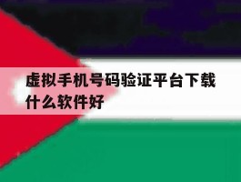 虚拟手机号码验证平台下载什么软件好