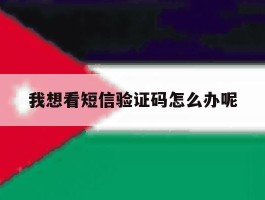 我想看短信验证码怎么办呢