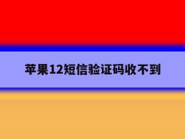 苹果12短信验证码收不到