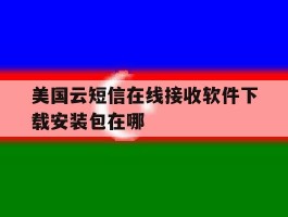 美国云短信在线接收软件下载安装包在哪