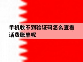 手机收不到验证码怎么查看话费账单呢的简单介绍
