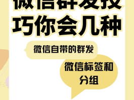 苹果手机短信群发助手软件