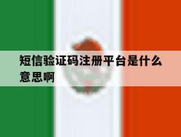 短信验证码注册平台是什么意思啊