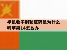 手机收不到验证码是为什么呢苹果14怎么办的简单介绍