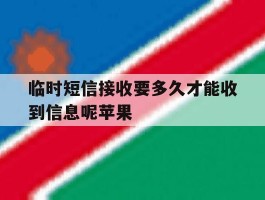 临时短信接收要多久才能收到信息呢苹果