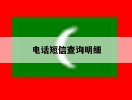 电话短信查询明细