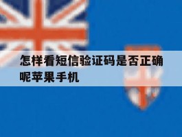 怎样看短信验证码是否正确呢苹果手机