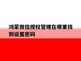 鸿蒙微信授权管理在哪里找到设置密码