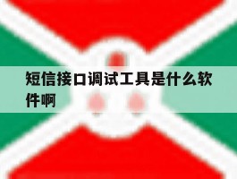 短信接口调试工具是什么软件啊的简单介绍