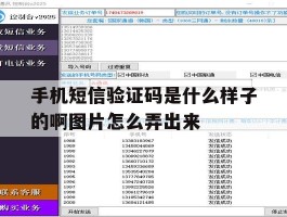 关于手机短信验证码是什么样子的啊图片怎么弄出来的信息