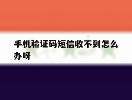 手机验证码短信收不到怎么办呀
