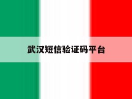 武汉短信验证码平台