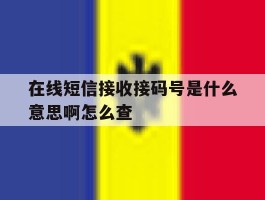 在线短信接收接码号是什么意思啊怎么查