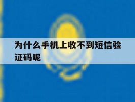 为什么手机上收不到短信验证码呢