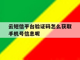 关于云短信平台验证码怎么获取手机号信息呢的信息