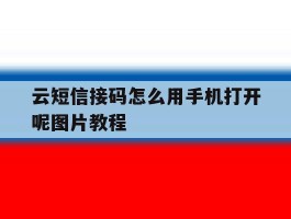 云短信接码怎么用手机打开呢图片教程
