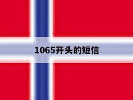 1065开头的短信