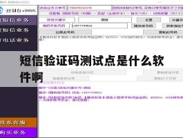 短信验证码测试点是什么软件啊