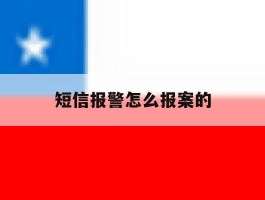 短信报警怎么报案的