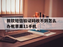 微软短信验证码收不到怎么办呢苹果11手机的简单介绍