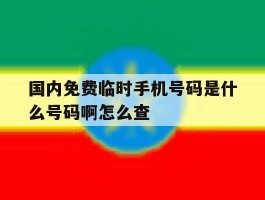 国内免费临时手机号码是什么号码啊怎么查