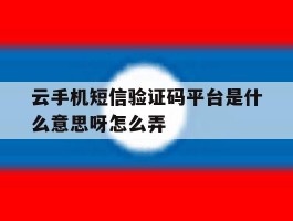 云手机短信验证码平台是什么意思呀怎么弄