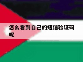 怎么看到自己的短信验证码呢