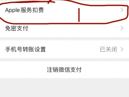 包含微信授权扣费怎么关闭功能呢苹果手机的词条