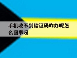 手机收不到验证码咋办呢怎么回事呀