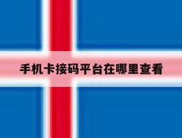 手机卡接码平台在哪里查看