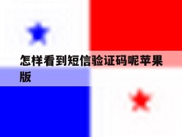怎样看到短信验证码呢苹果版