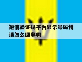 短信验证码平台显示号码错误怎么回事啊的简单介绍