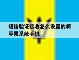 短信验证接收怎么设置的啊苹果系统手机