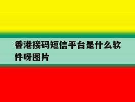 香港接码短信平台是什么软件呀图片