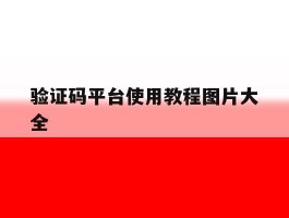 验证码平台使用教程图片大全