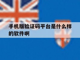 手机版验证码平台是什么样的软件啊