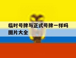 临时号牌与正式号牌一样吗图片大全