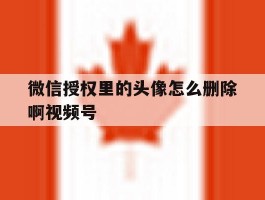 关于微信授权里的头像怎么删除啊视频号的信息