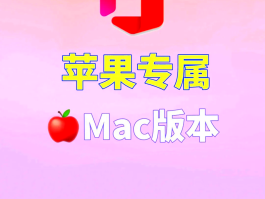 美国电话接码用什么软件打开的