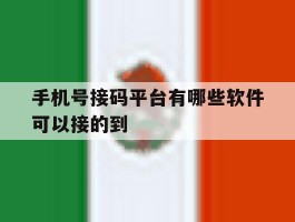 手机号接码平台有哪些软件可以接的到