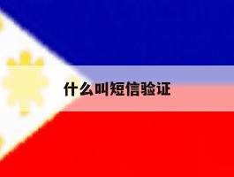 什么叫短信验证