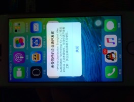 虚拟短信软件下载苹果手机安装不了
