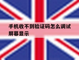 手机收不到验证码怎么调试屏幕显示