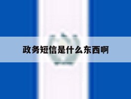 政务短信是什么东西啊