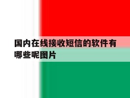 国内在线接收短信的软件有哪些呢图片