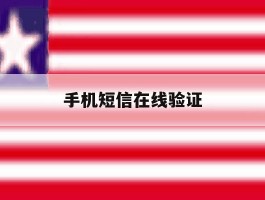 手机短信在线验证