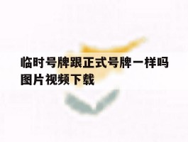 临时号牌跟正式号牌一样吗图片视频下载