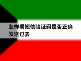 怎样看短信验证码是否正确发送过去