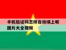 手机验证码怎样自动填上呢图片大全视频